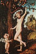 Lucas  Cranach Cupid Complaining to Venus oil on canvas